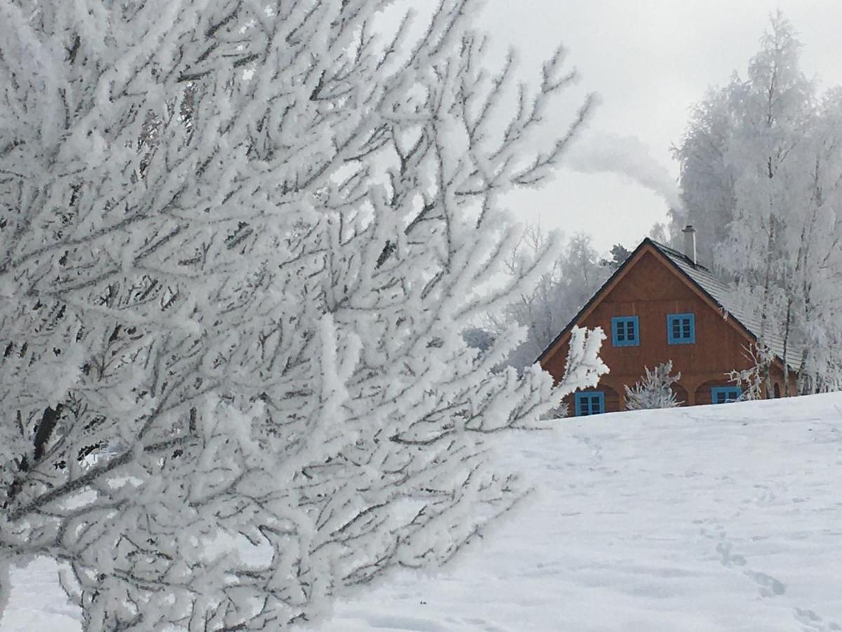 Roubenka Kokorinsko Villa Duba Luaran gambar